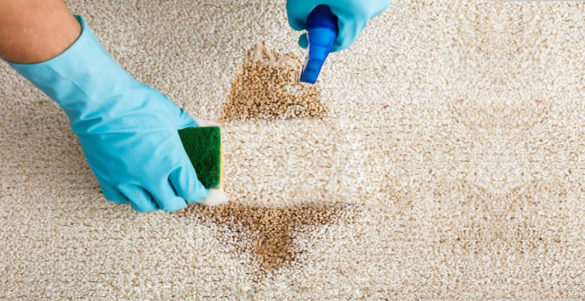 Como limpar o seu tapete do jeito certo?